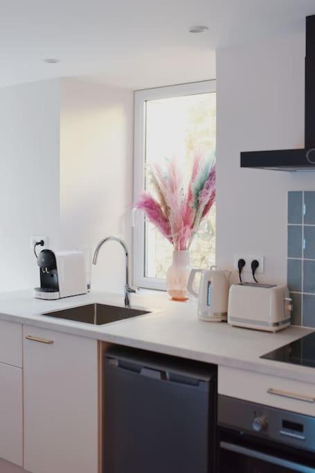 Appartement Aquaroom Rdc - Plage 50M - Rue Gratuite Saint-Malo Eksteriør billede
